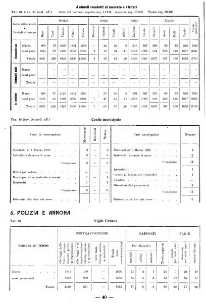 Bollettino statistico mensile