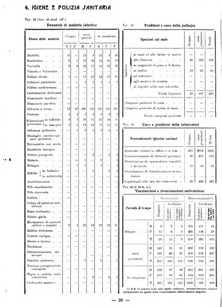 Bollettino statistico mensile