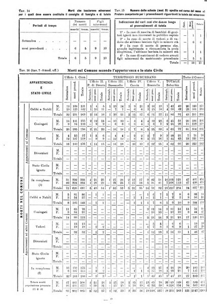 Bollettino statistico mensile