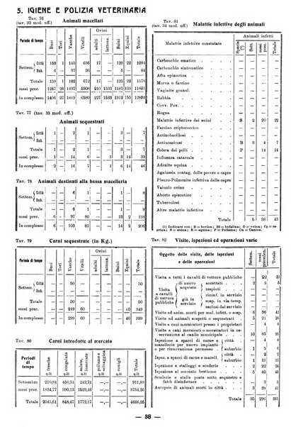 Bollettino statistico mensile