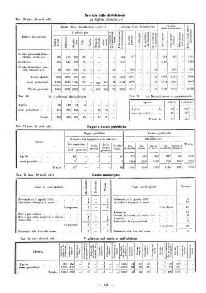 Bollettino statistico mensile