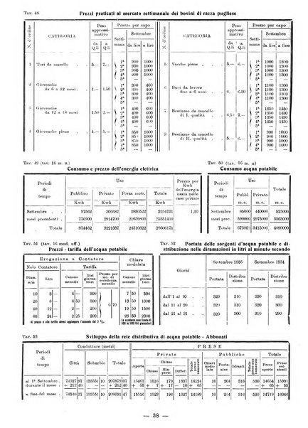 Bollettino statistico mensile