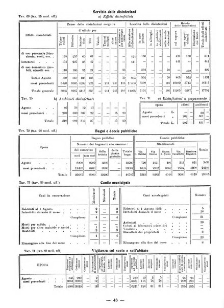 Bollettino statistico mensile