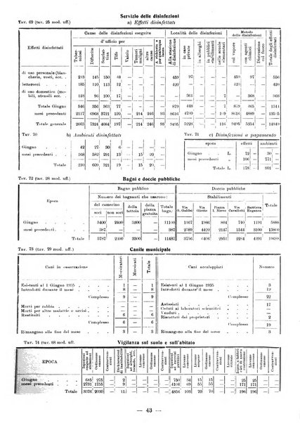 Bollettino statistico mensile