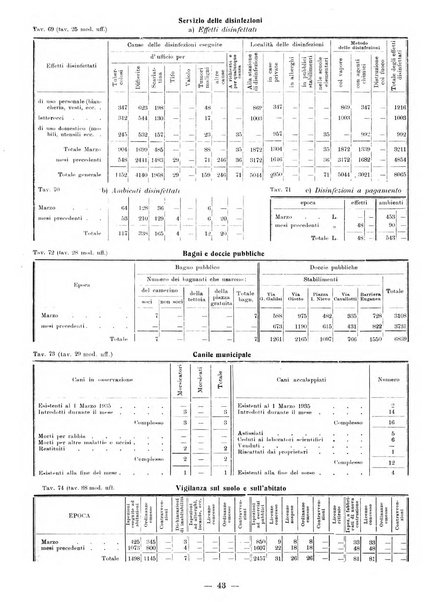 Bollettino statistico mensile