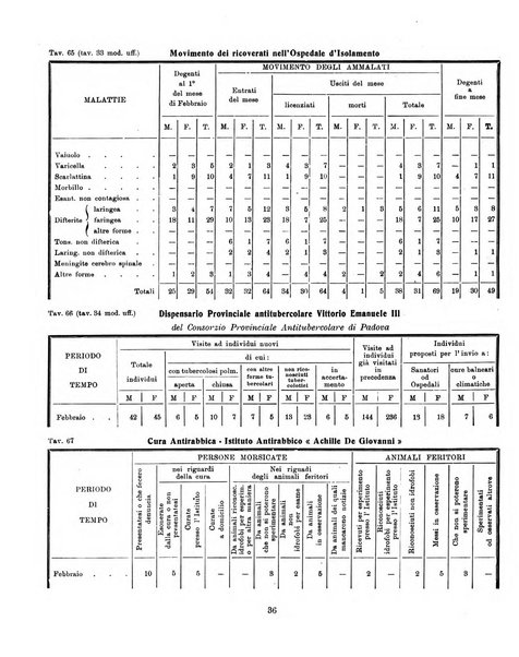 Bollettino statistico mensile