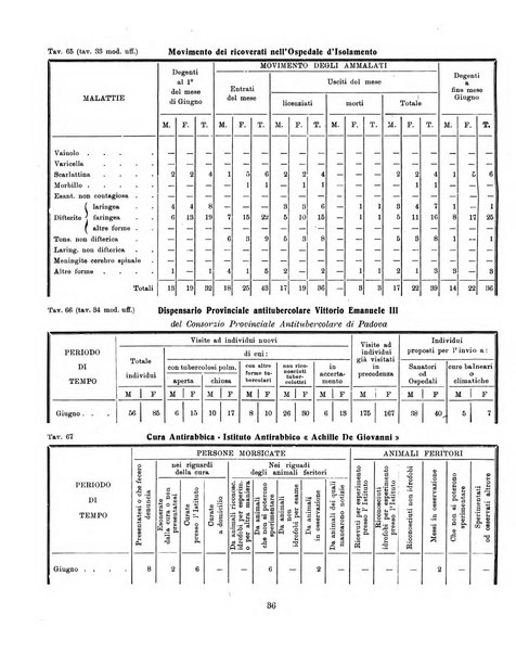 Bollettino statistico mensile