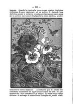 giornale/UBO1132112/1890/unico/00000116