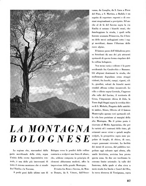 Bologna rivista mensile del comune