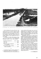 giornale/UBO1629463/1938-1939/unico/00000541