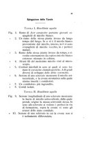giornale/UFI0011617/1892-1893/unico/00000053