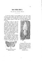 giornale/UFI0011617/1892-1893/unico/00000055
