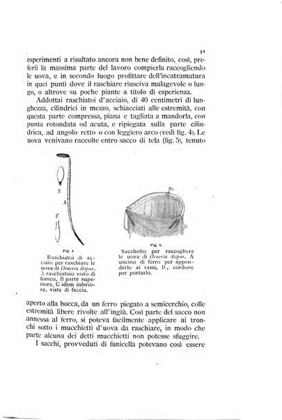 Rivista di patologia vegetale