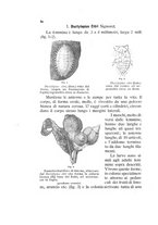 giornale/UFI0011617/1892-1893/unico/00000068