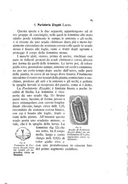 Rivista di patologia vegetale