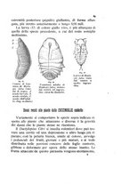 giornale/UFI0011617/1892-1893/unico/00000073