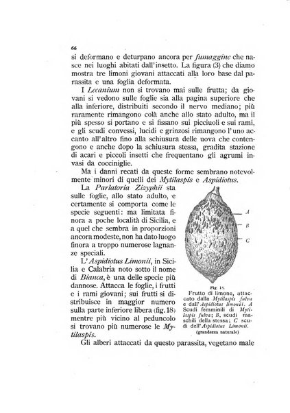 Rivista di patologia vegetale