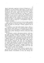 giornale/UFI0011617/1892-1893/unico/00000085