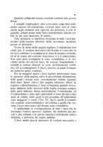 giornale/UFI0011617/1892-1893/unico/00000095