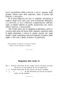 giornale/UFI0011617/1892-1893/unico/00000103