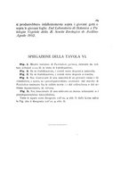 giornale/UFI0011617/1892-1893/unico/00000199