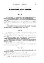 giornale/UFI0011617/1895-1896/unico/00000049