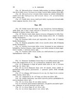 giornale/UFI0011617/1895-1896/unico/00000050