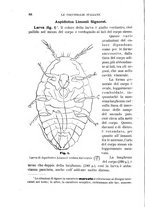 giornale/UFI0011617/1895-1896/unico/00000094