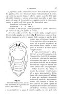 giornale/UFI0011617/1895-1896/unico/00000103