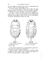 giornale/UFI0011617/1895-1896/unico/00000104