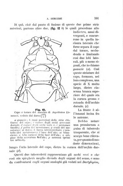 Rivista di patologia vegetale