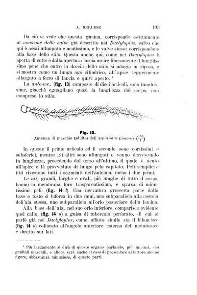 Rivista di patologia vegetale