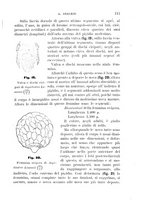 giornale/UFI0011617/1895-1896/unico/00000117
