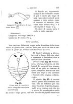 giornale/UFI0011617/1895-1896/unico/00000121