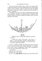 giornale/UFI0011617/1895-1896/unico/00000122