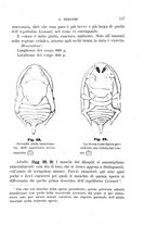 giornale/UFI0011617/1895-1896/unico/00000123