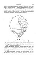 giornale/UFI0011617/1895-1896/unico/00000127