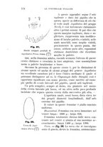 giornale/UFI0011617/1895-1896/unico/00000130