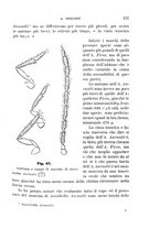 giornale/UFI0011617/1895-1896/unico/00000137