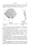 giornale/UFI0011617/1895-1896/unico/00000145