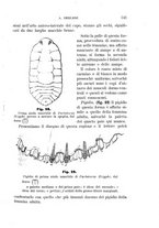 giornale/UFI0011617/1895-1896/unico/00000147