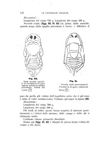 Rivista di patologia vegetale