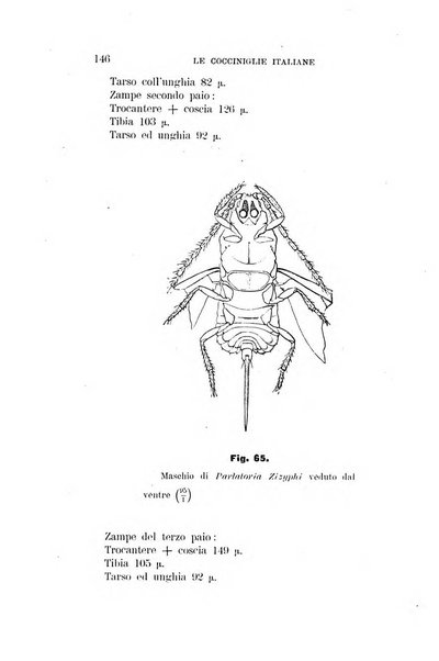 Rivista di patologia vegetale