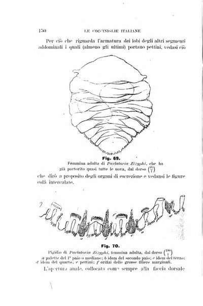 Rivista di patologia vegetale