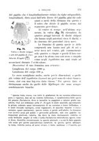 giornale/UFI0011617/1895-1896/unico/00000157