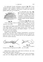 giornale/UFI0011617/1895-1896/unico/00000161
