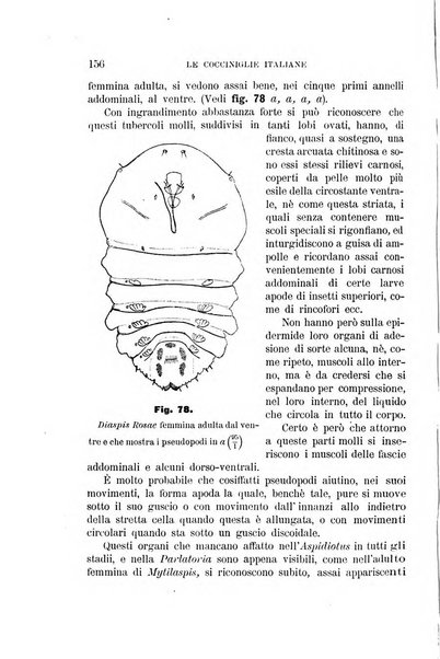 Rivista di patologia vegetale