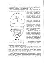 giornale/UFI0011617/1895-1896/unico/00000162