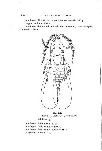 Rivista di patologia vegetale