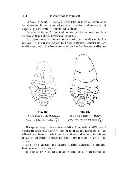 Rivista di patologia vegetale